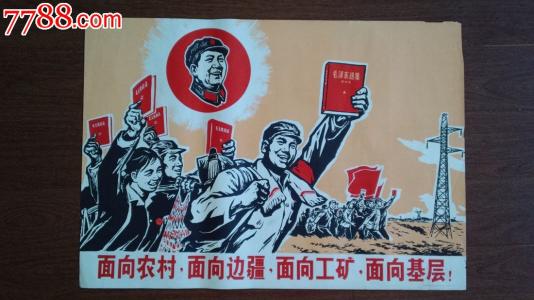 里尔天主教大学学士毕业证
